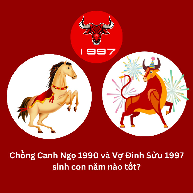 Chồng 1990 vợ 2003 sinh con năm nào hợp nhất