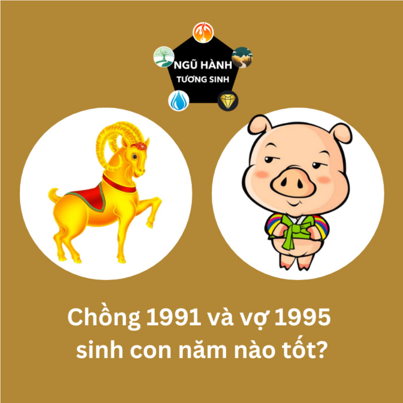 Chồng 1991 vợ 1995 sinh con năm nào hợp