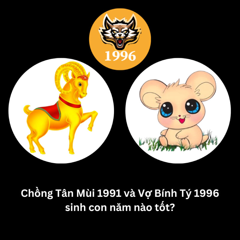 Chồng 1991 vợ 1996 sinh con năm nào hợp nhất