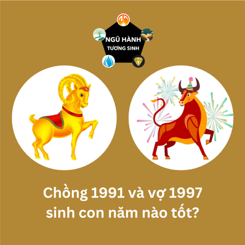 Chồng 1991 vợ 2002 sinh con năm nào hợp