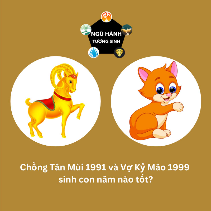 Chồng 1991 vợ 1999 sinh con năm nào hợp nhất
