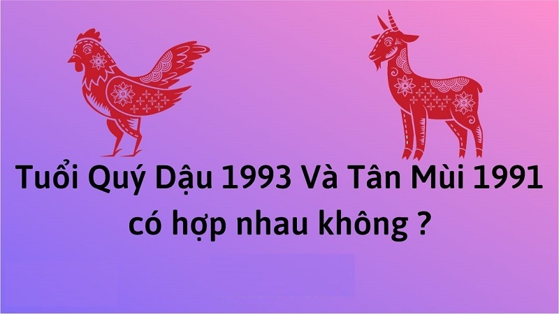 Chồng 1993 vợ 1991 sinh con năm nào hợp