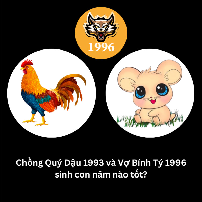 Chồng 1993 vợ 1996 sinh con năm nào tốt