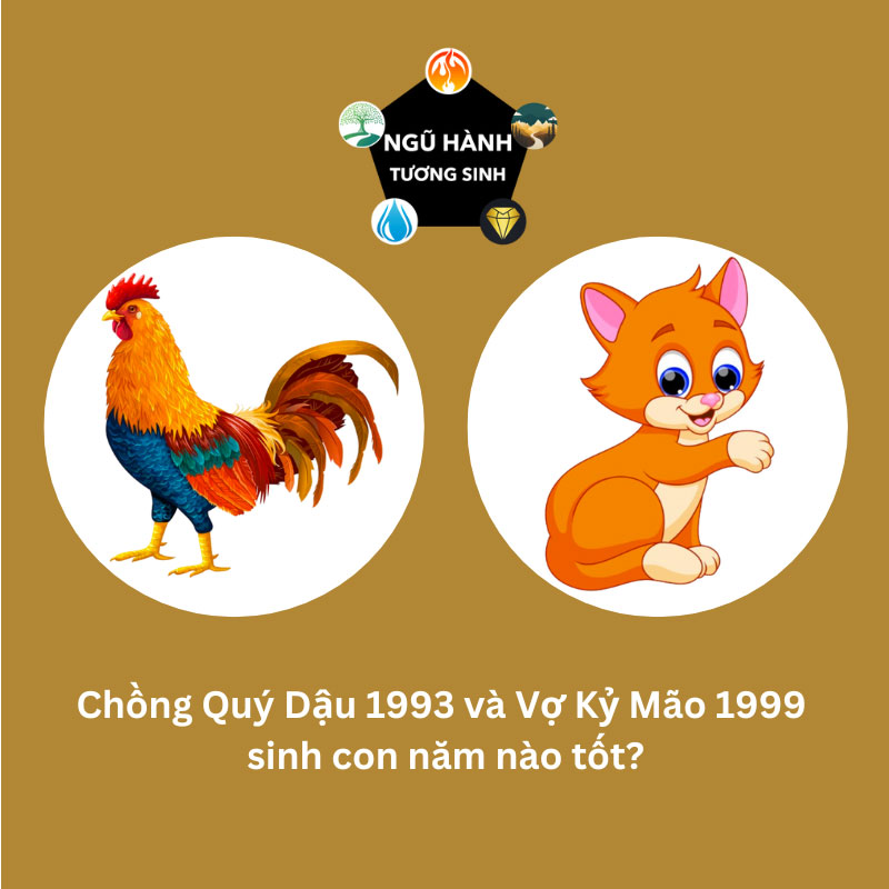 Chồng 1993 vợ 2003 sinh con năm nào tốt