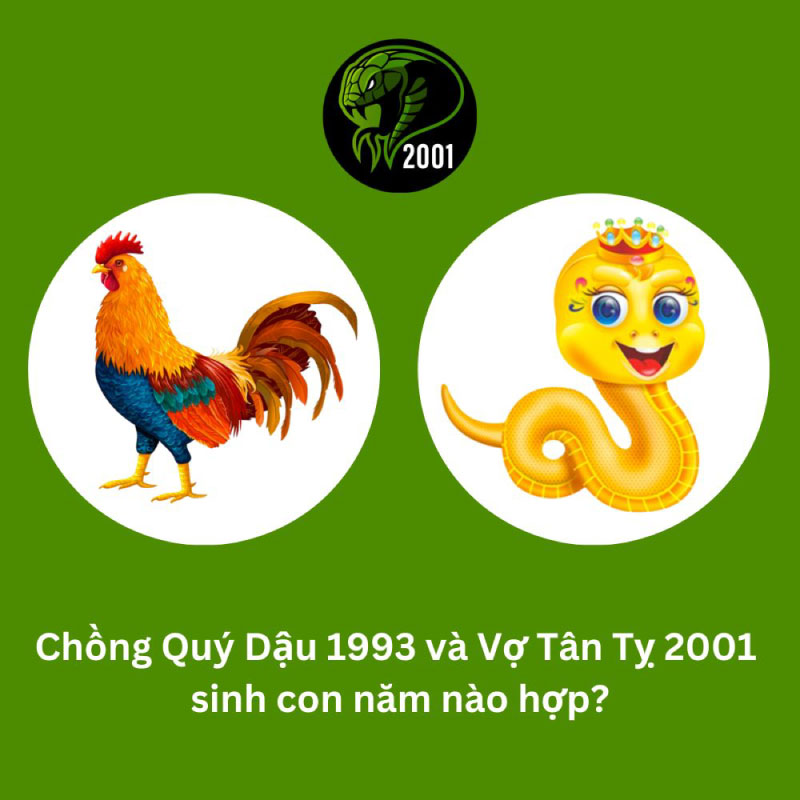 Chồng 1993 vợ 2001 sinh con năm nào hợp nhất