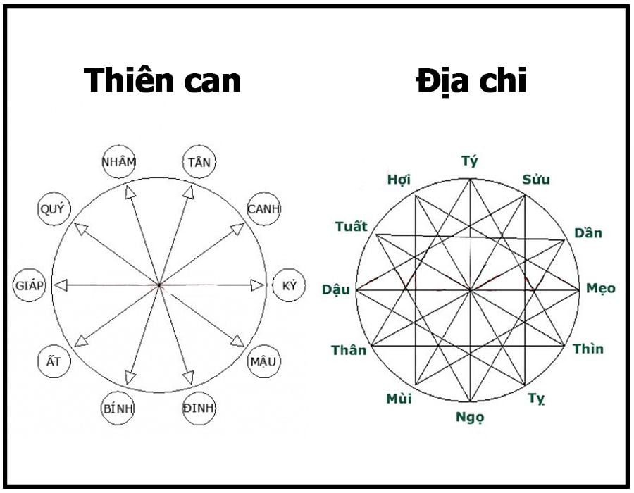 Chồng 2005 vợ 2006 sinh con năm nào hợp nhất