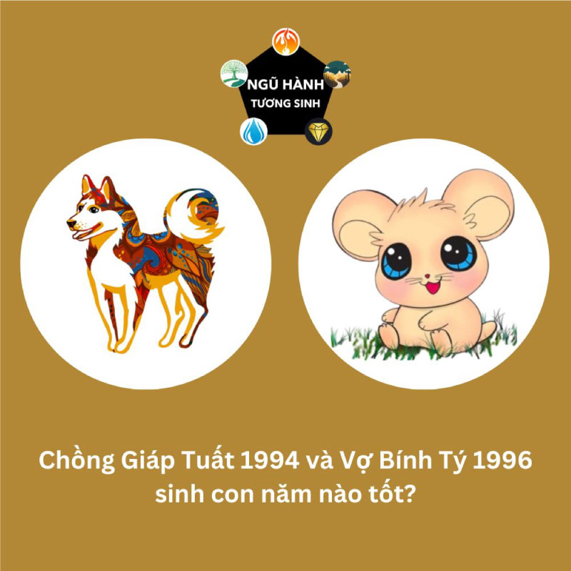 Chồng 1996 vợ 1994 sinh con năm nào hợp nhất