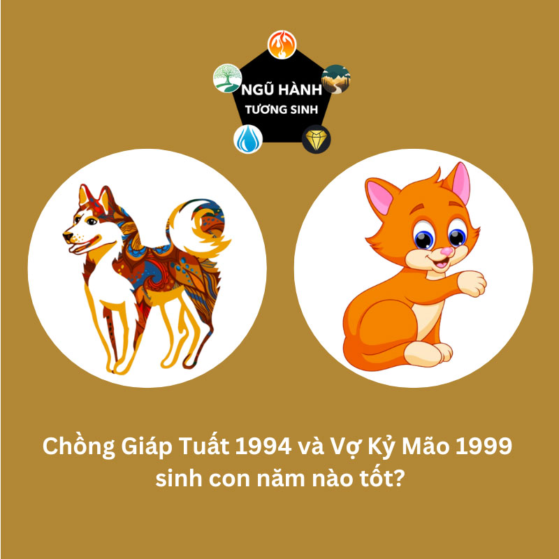 Vợ 1999 chồng 1994 sinh con năm nào hợp nhất