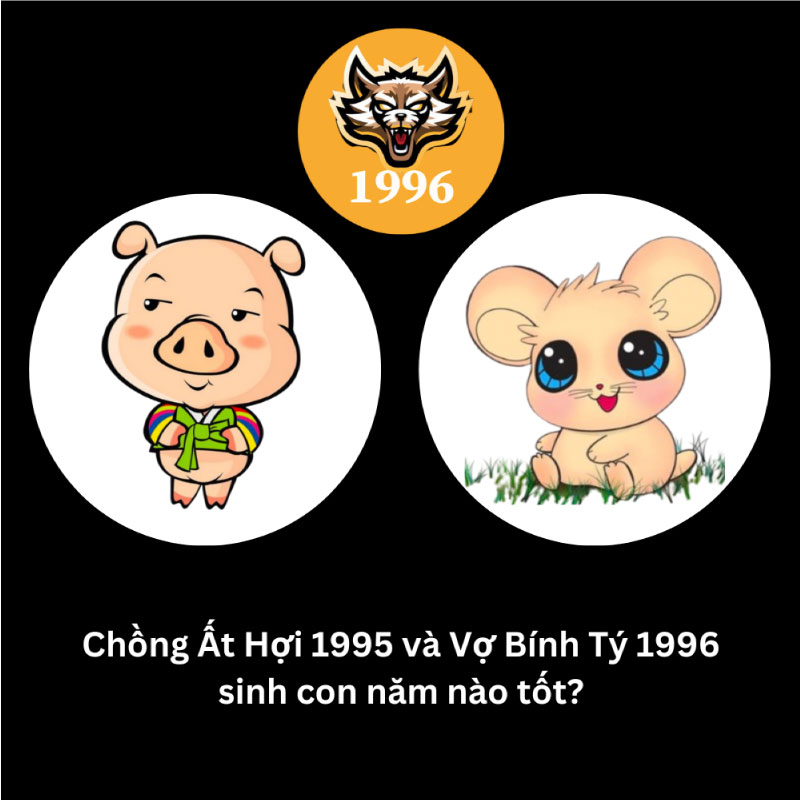 Chồng 1995 vợ 1996 nên sinh con năm nào hợp