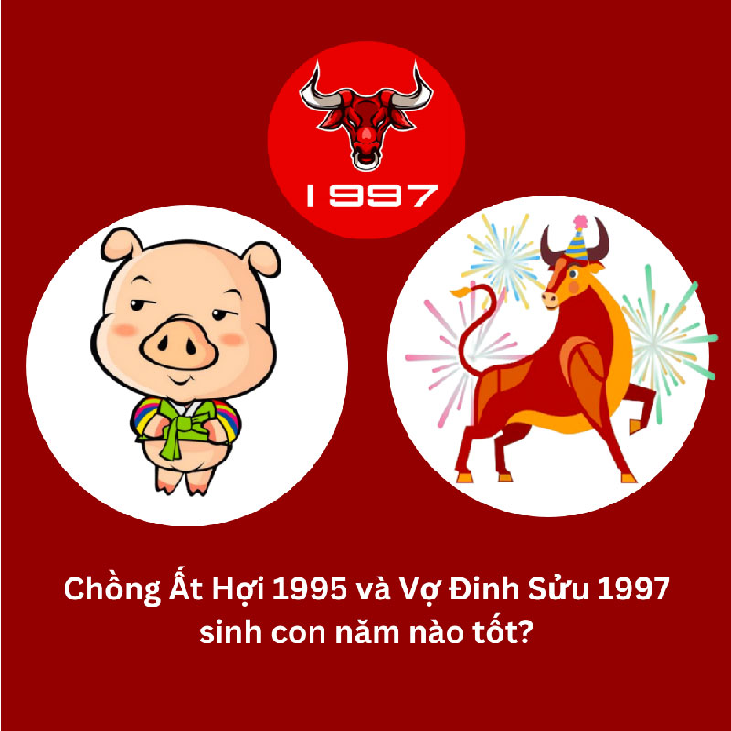 Chồng 1997 vợ 1995 sinh con năm nào hợp nhất