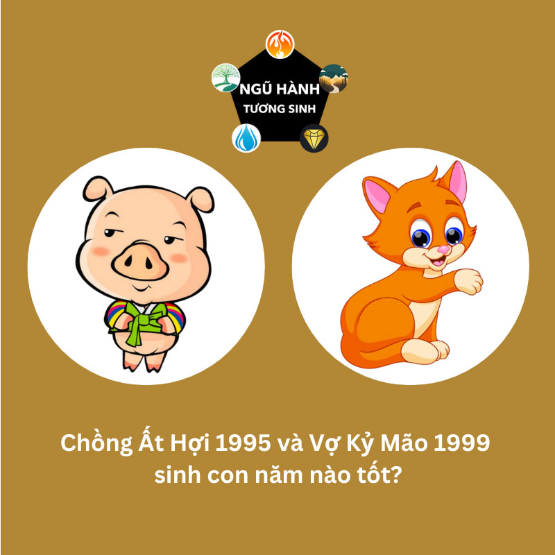Chồng 1995 vợ 1999 nên sinh con năm nào tốt