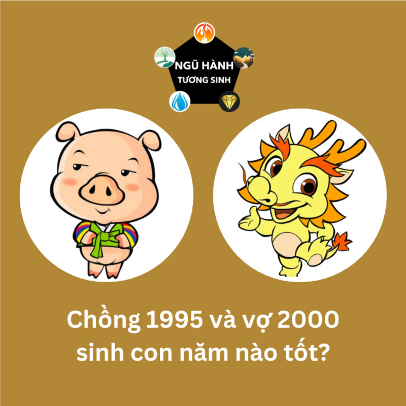 Chồng 2000 vợ 2003 sinh con năm nào hợp nhất
