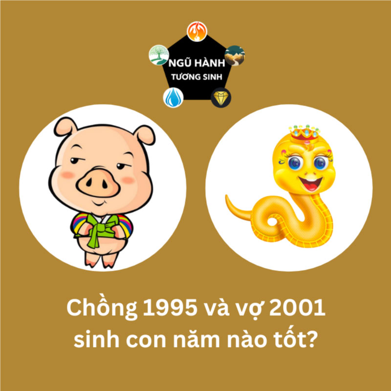 Chồng 1995 vợ 2007 sinh con năm nào hợp