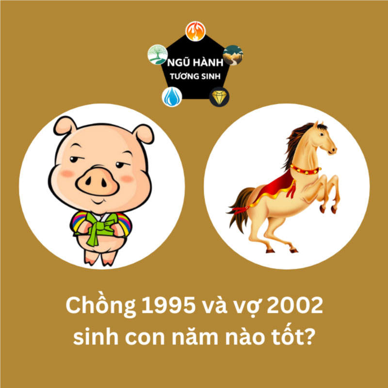 Chồng 1995 vợ 2002 sinh con năm nào tốt