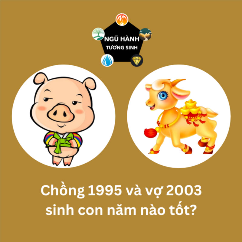 Chồng 2003 vợ 2009 sinh con năm nào hợp