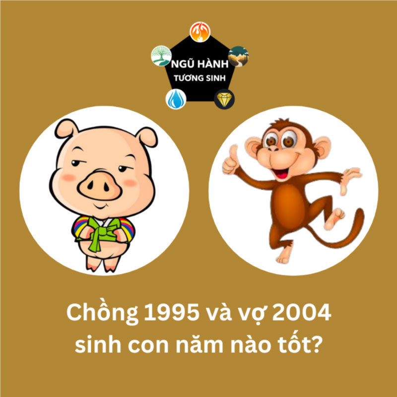 Chồng 1995 vợ 2004 sinh con năm nào hợp