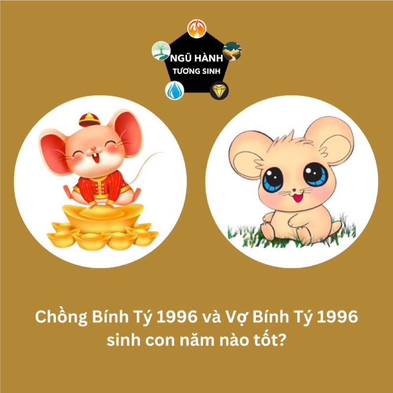 Gia đình chồng 1996 vợ 1996 sinh con năm hợp