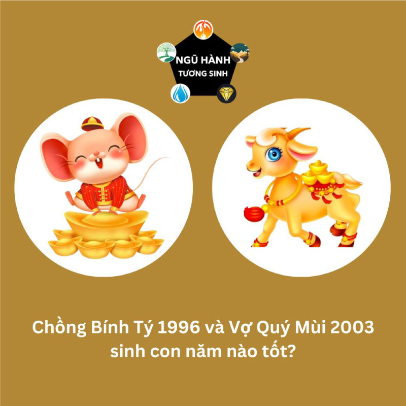 Chồng 2003 vợ 2006 sinh con năm nào hợp nhất