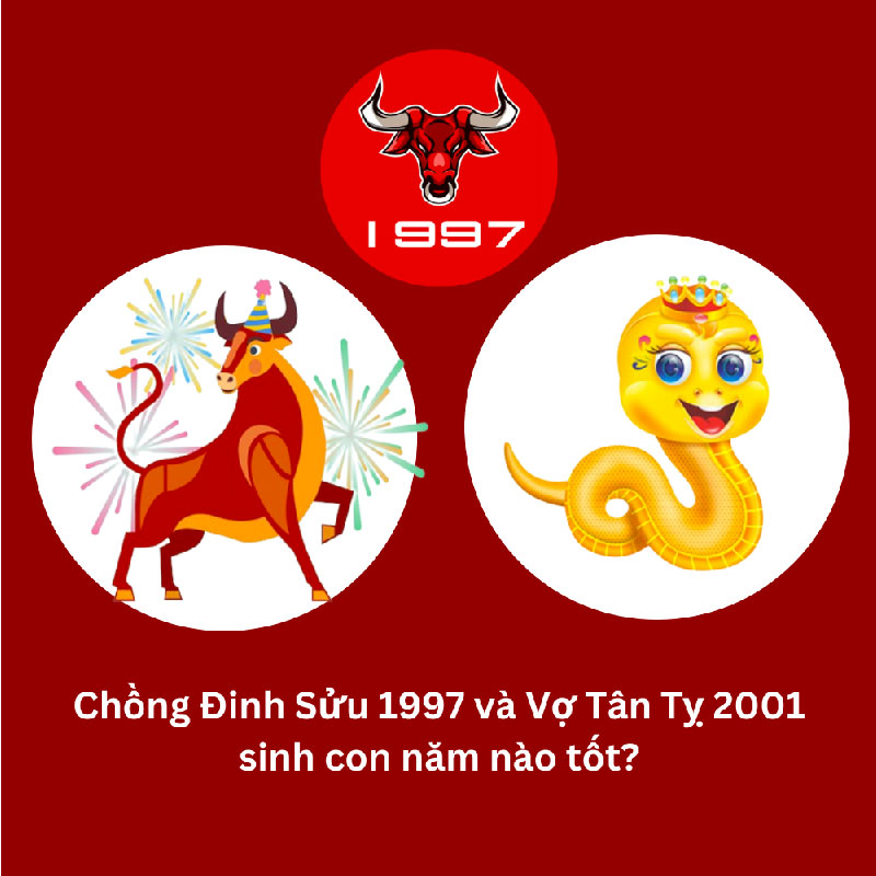 Gia đình chồng 1997 vợ 2001 chọn năm sinh con hợp