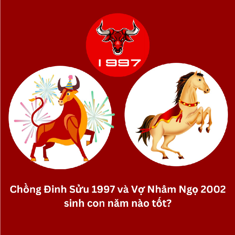 Chồng 1997 vợ 2002 sinh con năm nào hợp