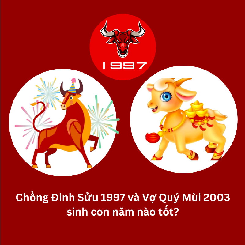 Chồng 2003 vợ 2003 nên sinh con năm nào hợp