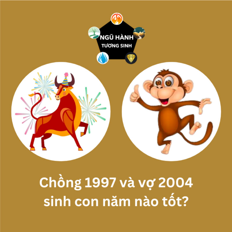 Chồng 2004 vợ 2005 sinh con năm nào tốt