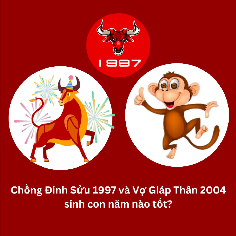 Chồng 1998 vợ 2004 sinh con năm nào hợp