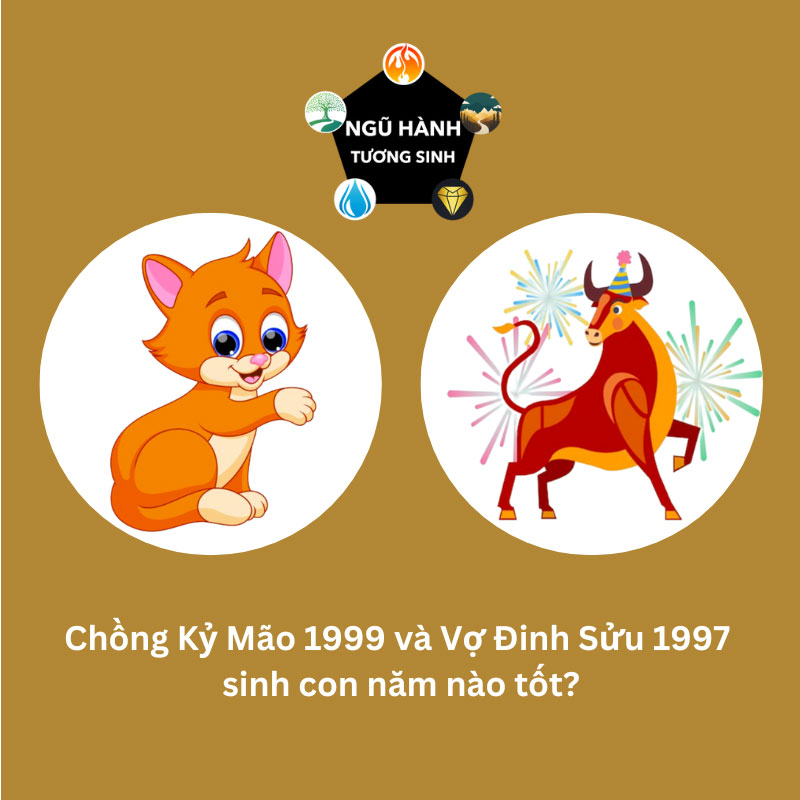 Chồng 1997 vợ 1999 sinh con năm nào hợp nhất