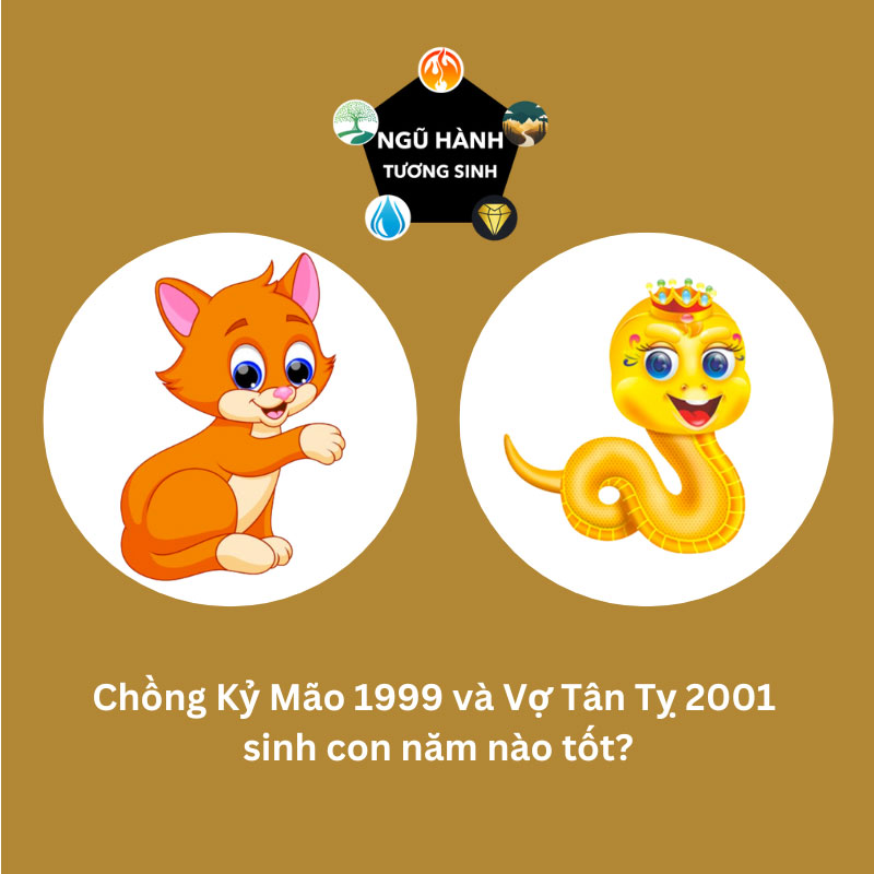 Chồng 1999 vợ 2001 sinh con năm nào hợp