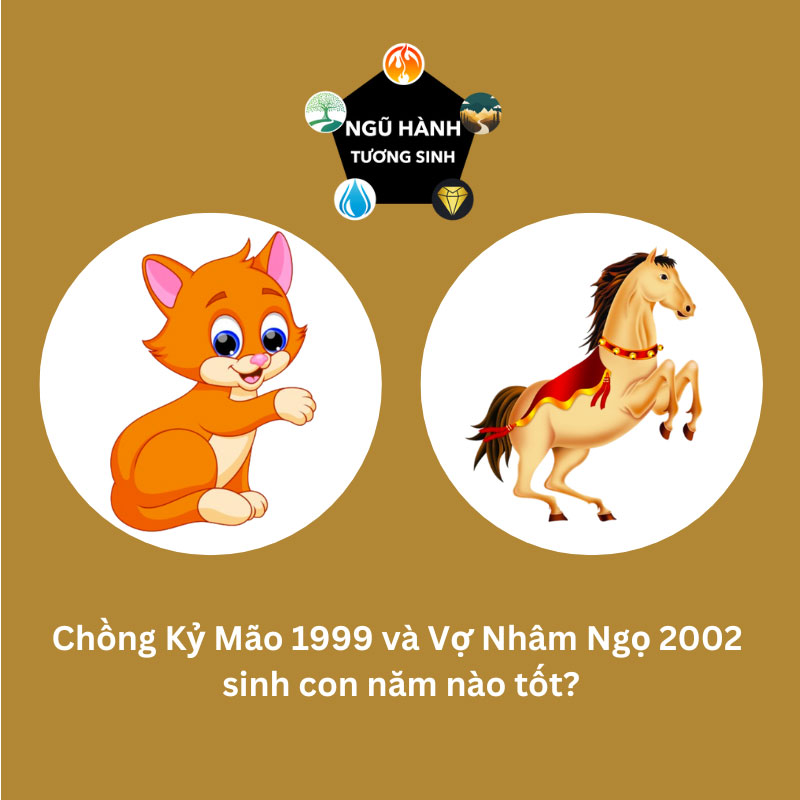 Chồng 1993 vợ 2002 sinh con năm nào hợp nhất