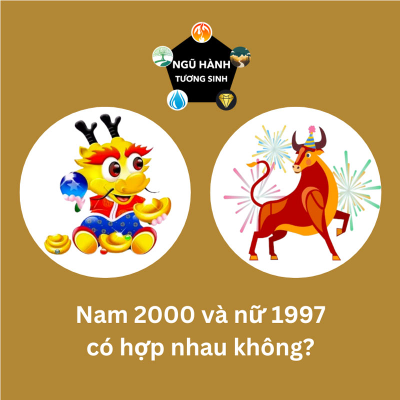 Chồng 1990 vợ 1992 sinh con năm nào hợp nhất