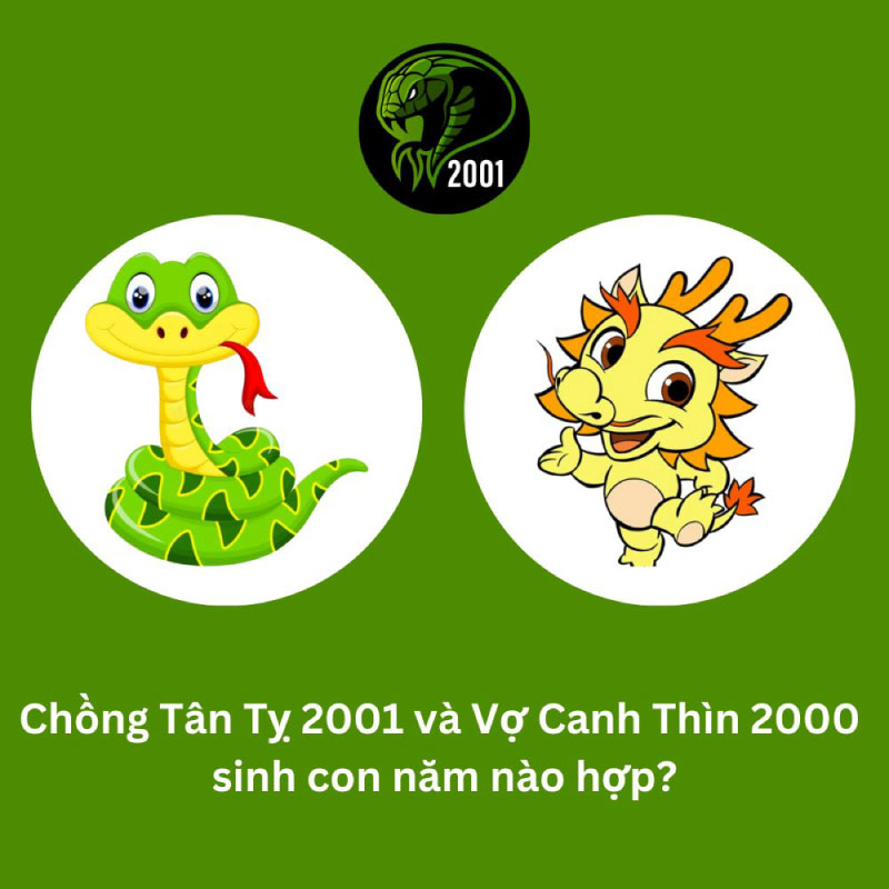 Chồng 1998 vợ 2000 sinh con năm nào hợp