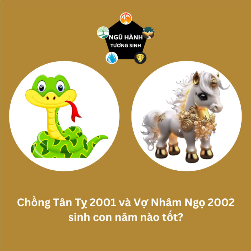 Chồng 2000 vợ 2006 sinh con năm nào hợp nhất