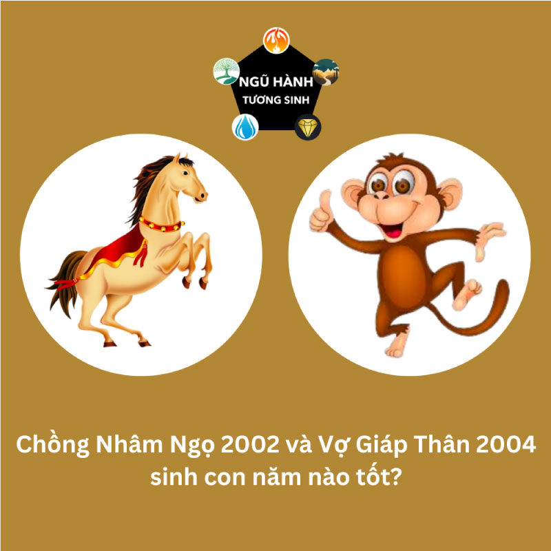 Vợ chồng 2004 sinh con năm nào hợp nhất