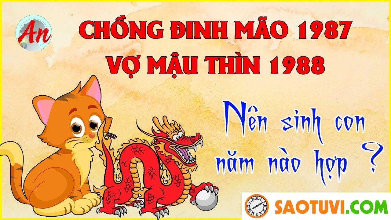 Vợ chồng 1987 1988 sinh con năm nào hợp nhất
