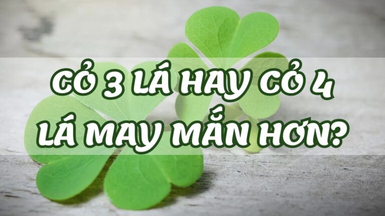 Học sinh sinh năm 2009 năm 2026 học lớp mấy