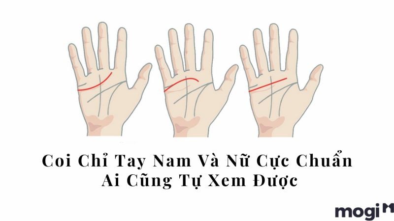 Hình ảnh bàn tay với các đường chỉ tay
