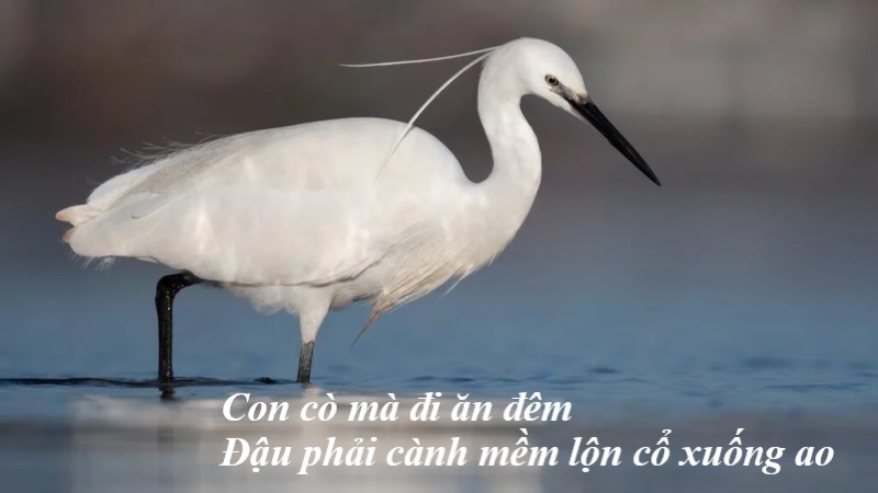 Người mơ thấy ăn cơm và con số may mắn