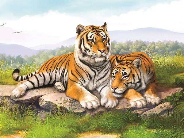 Hổ xuất hiện trong giấc mơ và con số may mắn