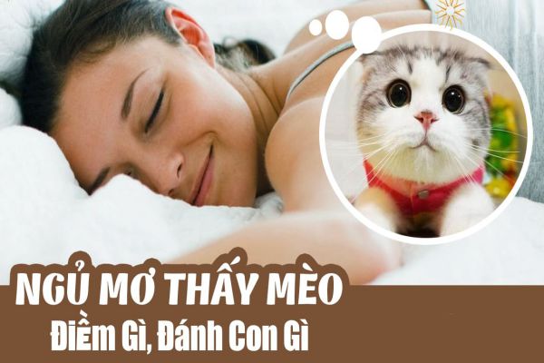 Mèo xuất hiện trong giấc mơ đánh đề số mấy