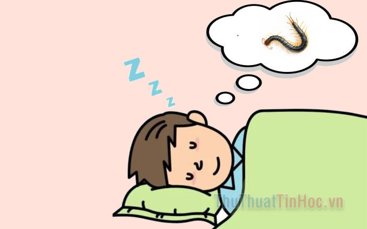 Người nằm mơ thấy rết bò dưới gối