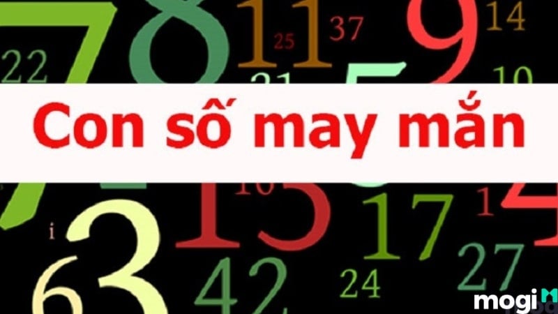 Phụ nữ nằm mơ thấy có bầu đánh số may mắn