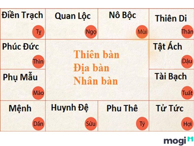 Biểu đồ cung nô bộc trong tử vi chi tiết