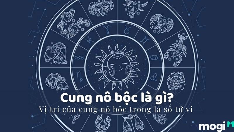Biểu đồ cung nô bộc trong tử vi chi tiết