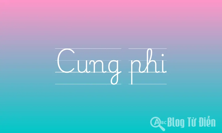 Cách tính cung phi đơn giản và chính xác
