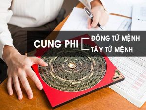 Cách tính cung phi đơn giản và chính xác