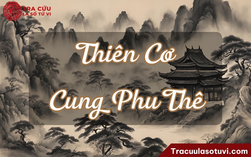Cung phu thê là gì trong tử vi phong thủy
