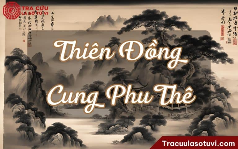 Cung phu thê là gì trong tử vi phong thủy