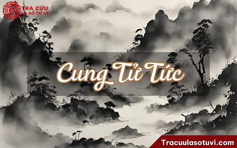 Cung tử tức là gì trong tử vi phong thủy