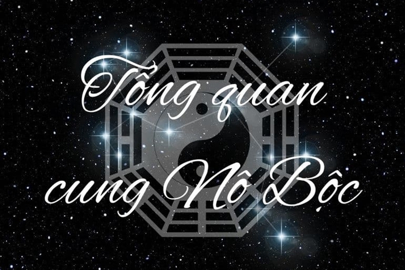 Biểu đồ cung nô bộc trong tử vi chi tiết